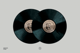 Shadows of Hyrule - ROZEN (2xLP Vinyl Record)