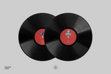 Stray (Original Soundtrack) - Yann Van Der Cruyssen (2xLP Vinyl Record)
