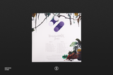 Banana Jamz 199x - Josh Willis (1xLP Vinyl Record)