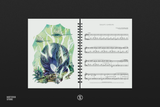Hollow Knight Piano Collections (Performer's Edition Sheet Music Book)
