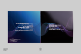 MEGA REMIX MAN.EXE - RoboRob (1xLP Vinyl Record)