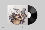 NieR Replicant - 10+1 Years (4xLP Vinyl Record Box Set)
