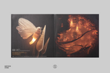 Papetura (Original Soundtrack) - Floex (1xLP Vinyl Record)
