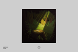Lofi of the Lost Woods - Rifti Beats (1xLP Vinyl Record)