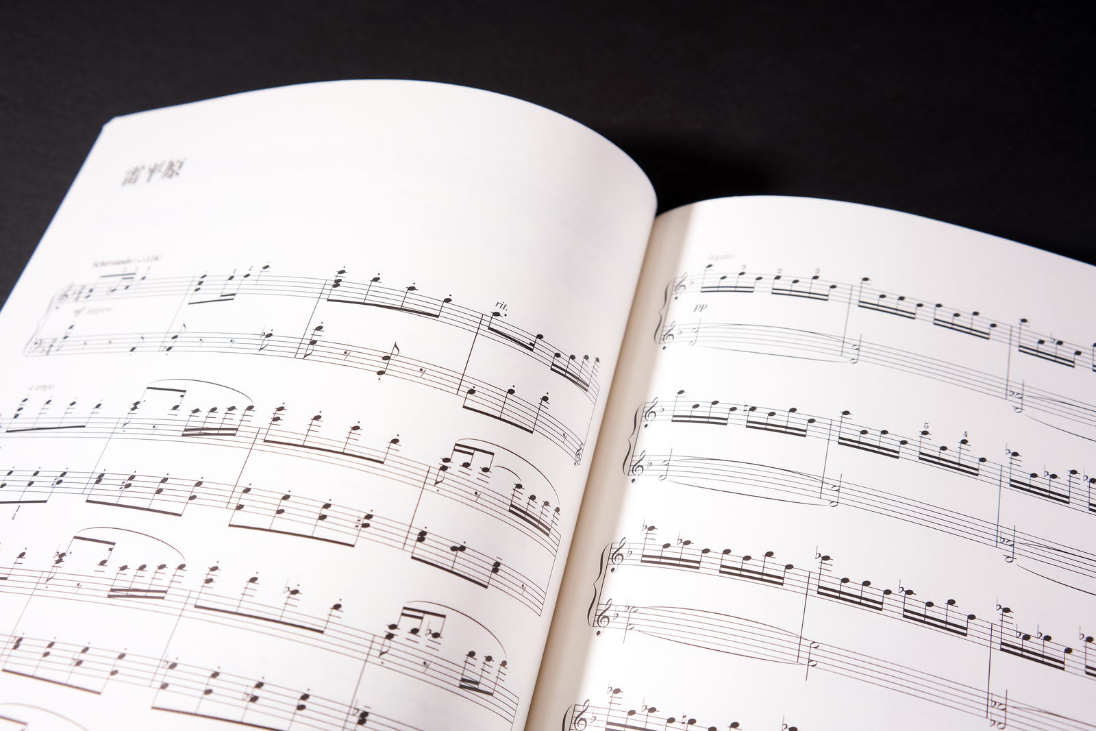 Final Fantasy X Piano Collections (Sheet Music - Japanese)